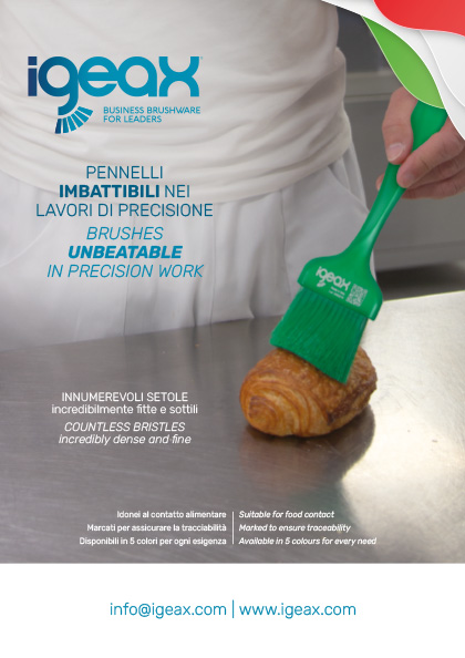 open the IGEAX Precision brushes catalogue